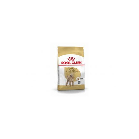 Royal Canin Poodle Caniche Adult