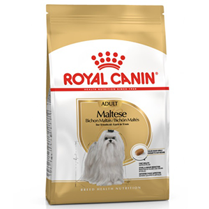 Royal Canin Bichon Maltes Adult