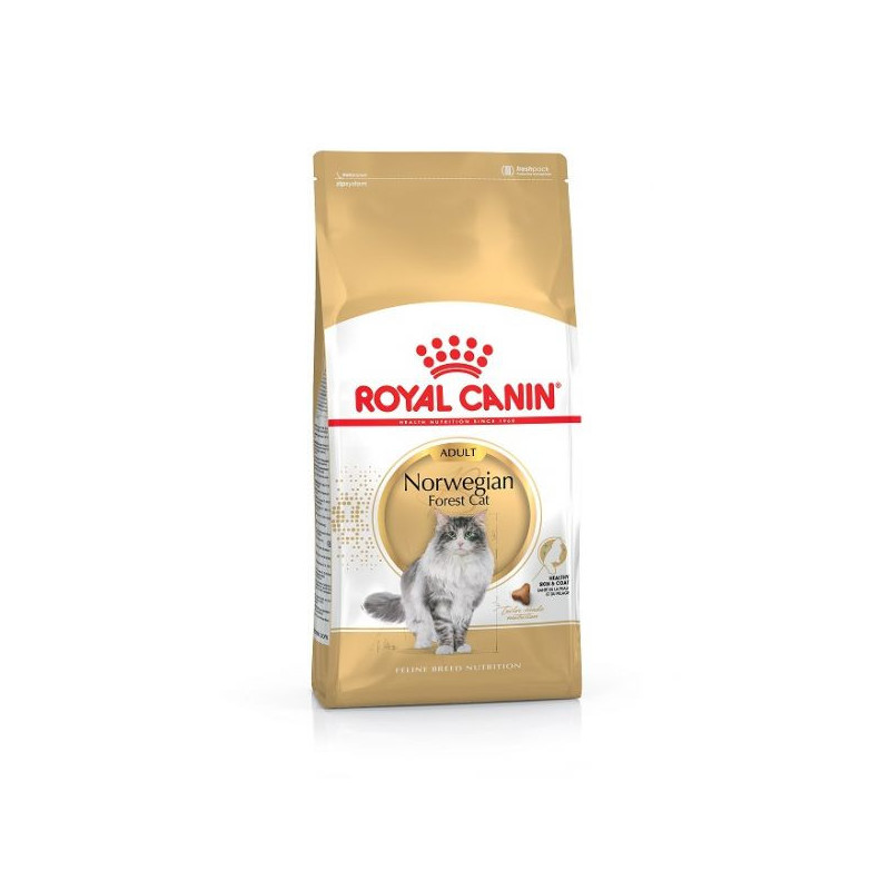 Royal Canin Norwegian Forest Cat