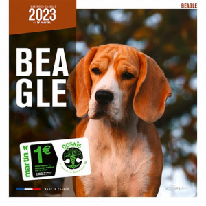 Calendario Beagle 2023