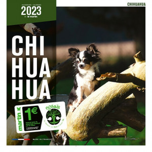 Calendario Chihuahua 2023