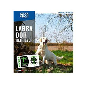 Calendario Labrador Retriever 2023