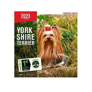 Calendario Yorkshire Terrier 2023