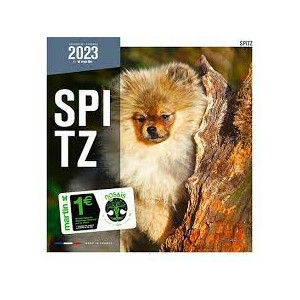 Calendario Spitz (pomerania) 2023