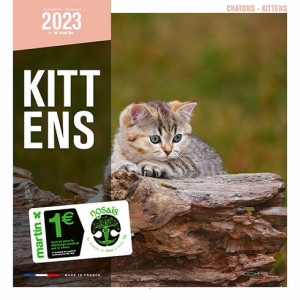 Calendario Kittens (Gatitos Cachorros) 2023