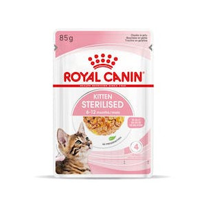 Royal Canin Sobre Kitten Sterilised In Jelly (Gelatina)