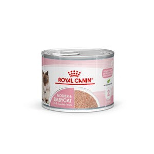 Royal Canin Lata Mother & Babycat Mousse