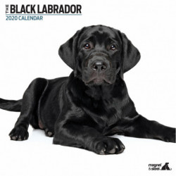 Calendario Black Labrador