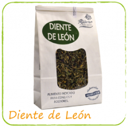 Ribero Diente de León